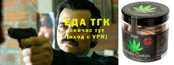 спиды Богородицк