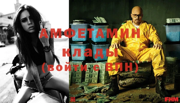 спиды Богородицк