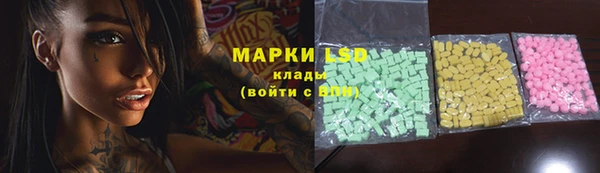 a pvp Бородино