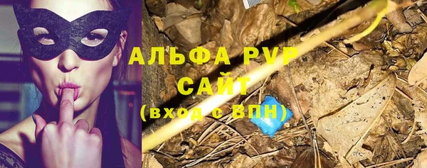 спиды Богородицк