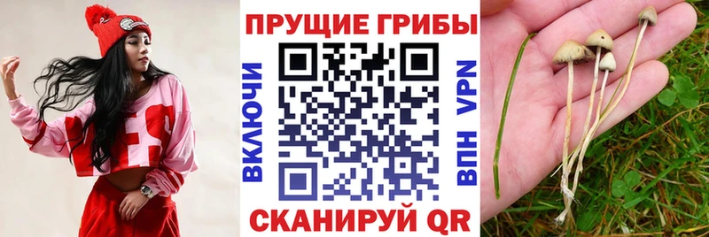Псилоцибиновые грибы мухоморы Новохопёрск